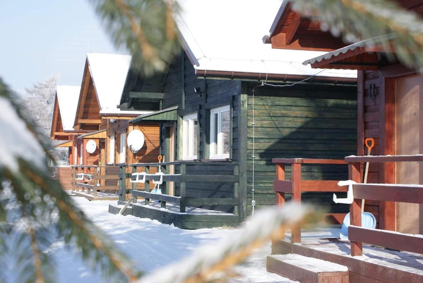Stanica Pod Zadzierna Domki Caloroczne Lubawka Exterior photo